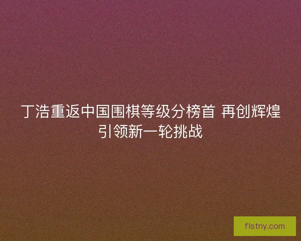 丁浩重返中国围棋等级分榜首 再创辉煌引领新一轮挑战